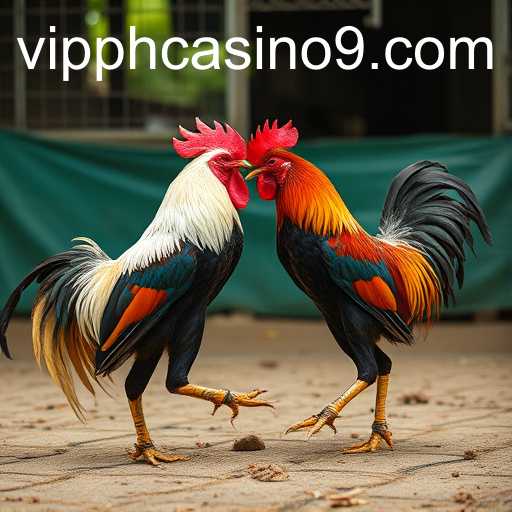 poker heads-up um contra um